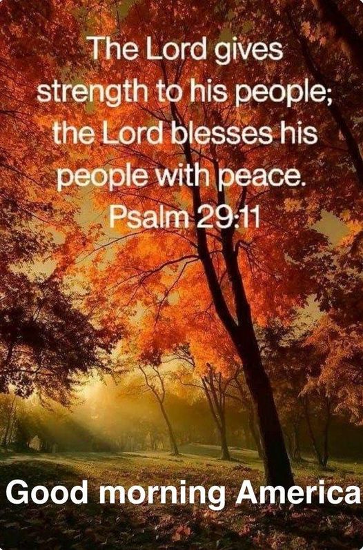 Praise Picture