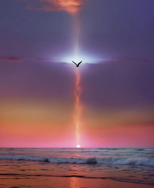 Praise Picture