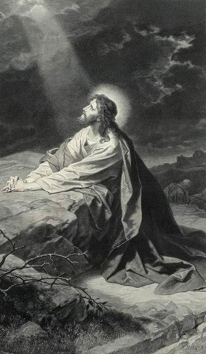 Praise Picture