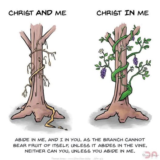 Praise Picture