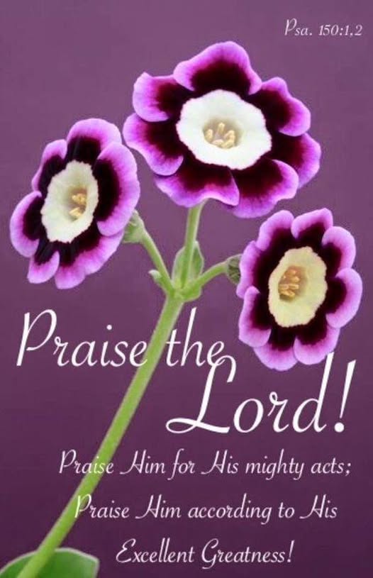 Praise Picture