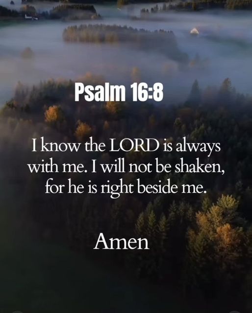 Praise Picture