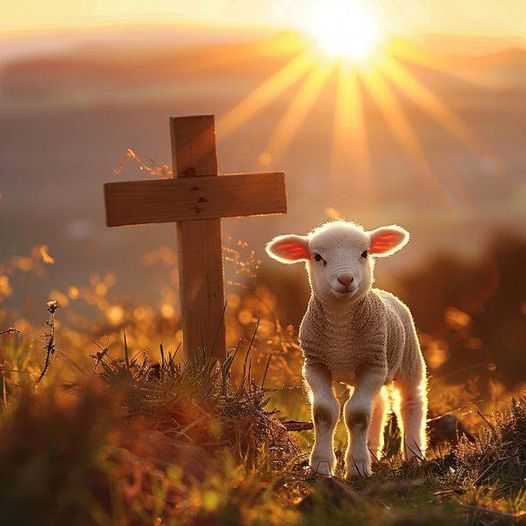 Praise Picture