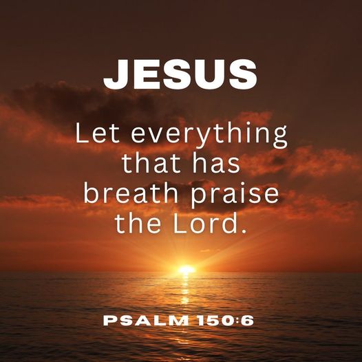 Praise Picture